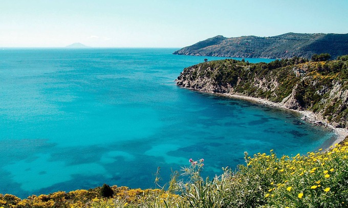 Lacona Apartment | Golfo della Lacona by Interhome