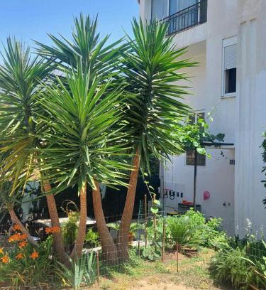 Babin do Apartment | Goran