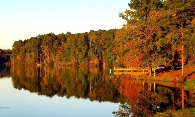 Remer Cabin | Gorgeous Chippewa Forest and Little Sand Lake @ backyard of this beautiful Cabin