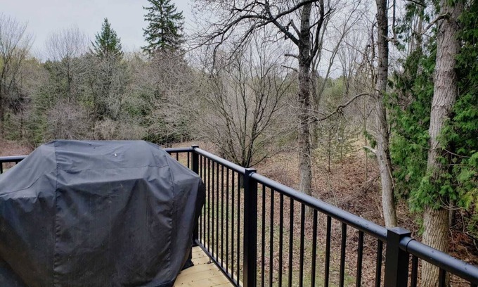 Selwyn House | Gorgeous cottage is only a two hour from Toronto