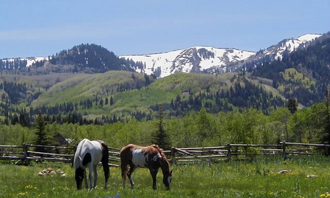 Park City Ski Chalet | Gorgeous Mountain View from This Remodeled Red Pine Condo