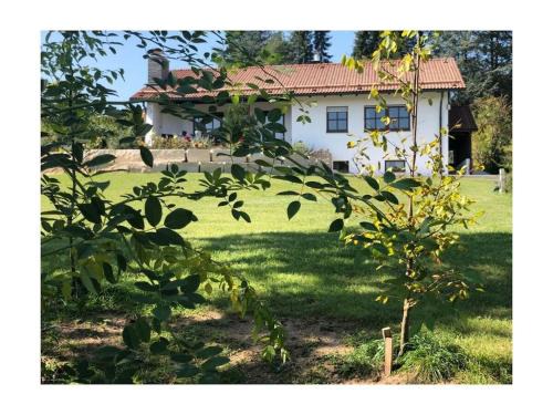 Altdorf bei Nuernberg House | Grünsberg Comfortable holiday residence