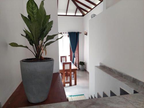 Ambalangoda House | Gracious Home Stay for tourists