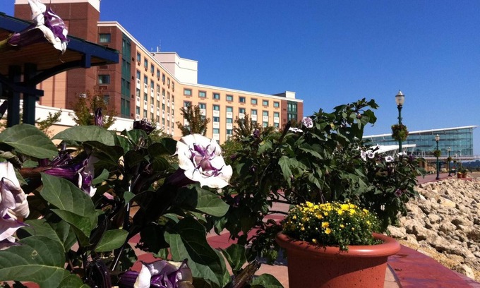 Dubuque Hotel | Grand Harbor Resort and Waterpark