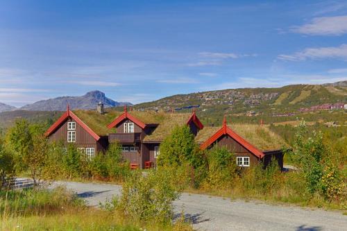 Beitostolen Ski Chalet | Grand Log Cabin with Fireplace and 12-14 Beds