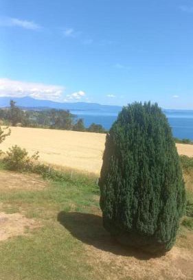 La Union Apartment | Grandioso alojamiento en el Sur cercano a Osorno y Valdivia