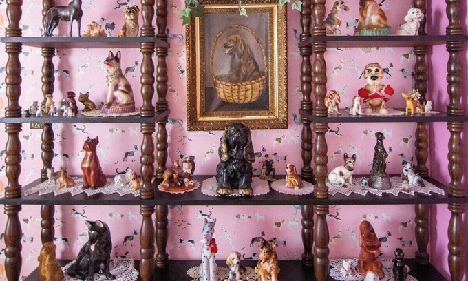 St. Louis House | Granny's DOG House - KING BED - One of a Kind!