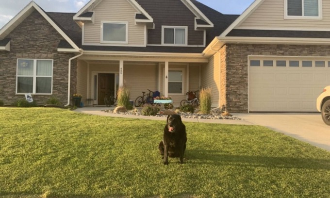 Sheridan House | Great house for families - basketball court and fire pit.