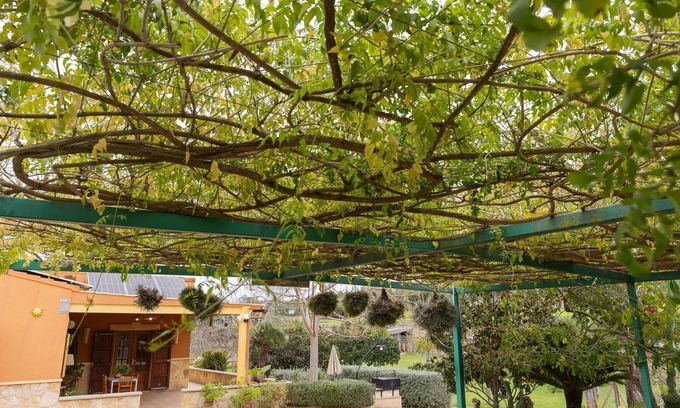 Llubi Villa | Great villa near mountains