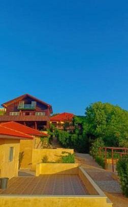 Jordan House | Green House