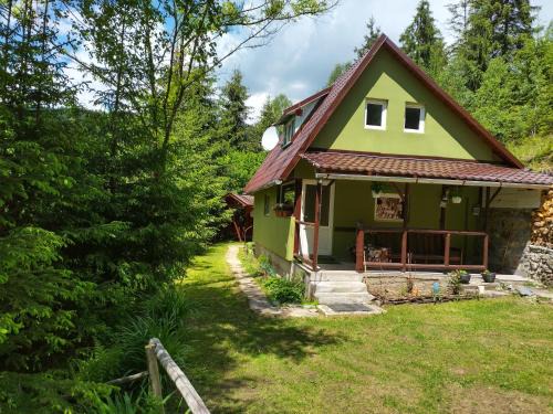 Gheorgheni House | Green House