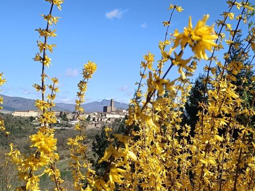 Porrena Apartment | GreenView - CasaVacanza
