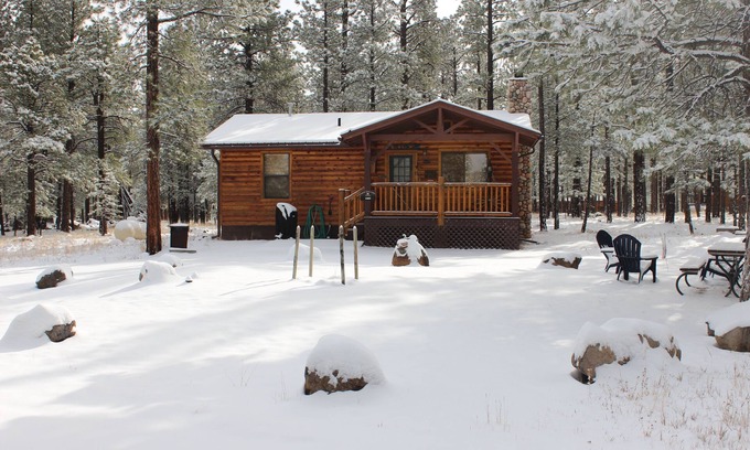 Greer Cabin | Greer Pines Cabin Secluded Cabin on an Acre