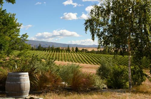 Alexandra Bed & Breakfast | Grey Ridge Vineyard Experience