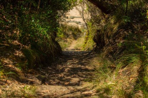 Grey River House | Grey River Beach House - 10 minutes to Wye