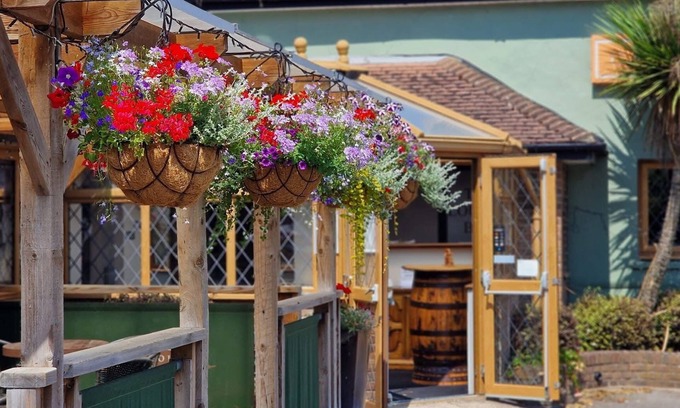 Winterborne Kingston Bed & Breakfast | Greyhound Inn Freehouse