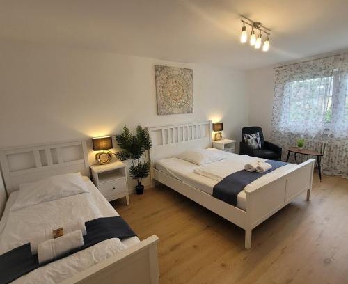 Oftersheim Apartment | Große,Schöne FeWo nähe Schwetzingen-Hockenheim 3 Zimmer mit Balkon