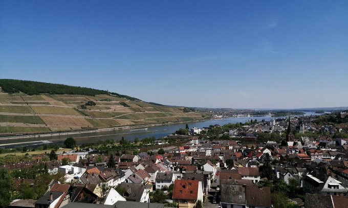 Mainz-Bingen Apartment | Großes PANORAMA APARTMENT