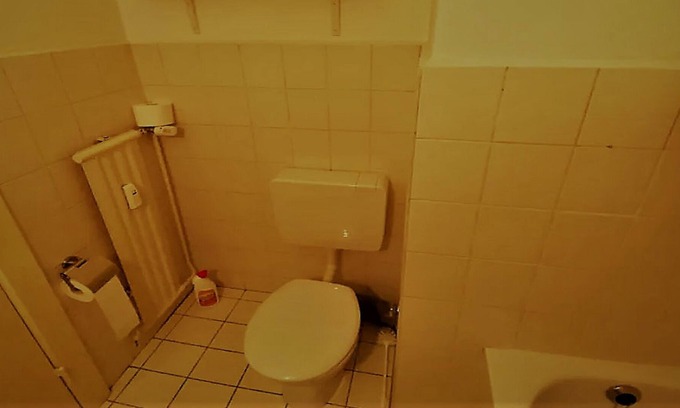 Pirmasens Apartment | Großzügiges 1-zimmer-dachgeschoß-appartement