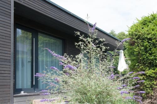 Ponitz am See House | Gronenberger Mühle Haus 11