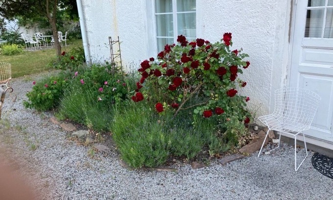 Bastad Apartment | Ground floor apartment in charming turn of the century villa near the sea Båstad