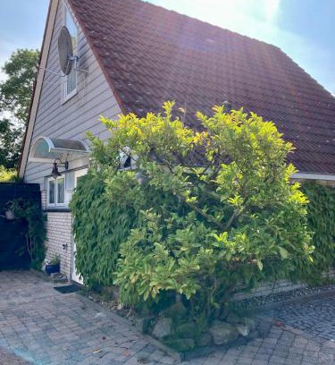 Anjum House | Gudrun 5 pers Equipped house with sauna. Dogs are welcome!