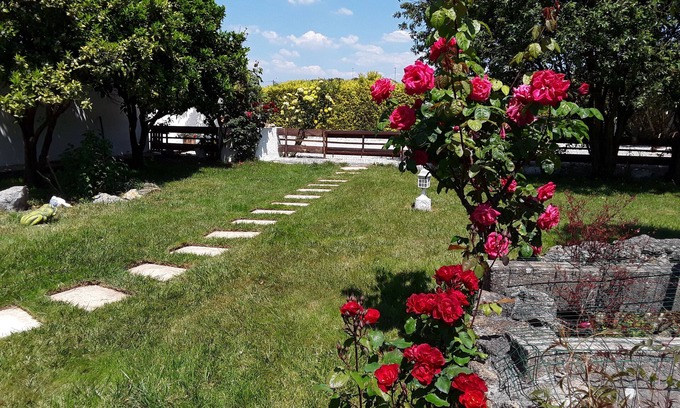 Alcobaca Bed & Breakfast | GUEST HOUSE BED & Breakfast- QUARTO-de Hospedes. NAZARÉ- ALCOBAÇA.
