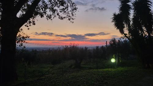 Miglierina House | Guest House Franco