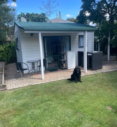 Nelson Apartment | Guest house in Tahunanui