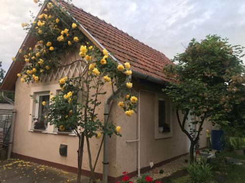 Egerszalok House | Guest House Rózsakert