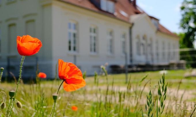 Klein Voigtshagen Apartment | Gutshaus FeWo Priwall