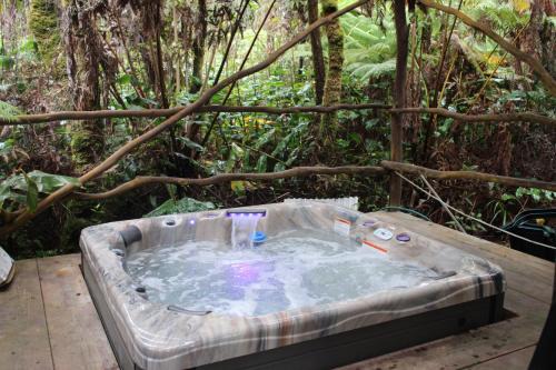 Volcano Cabin | Hale Kumu La'au- A'a