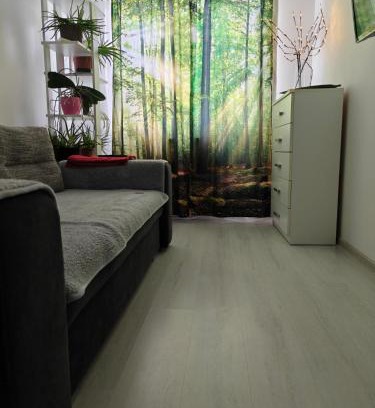 Tirgu Mures Apartment | HANA Apartament