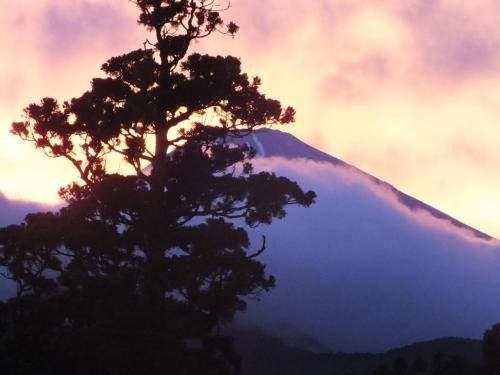 Hakone Hotel | Hananoyado Fukuya
