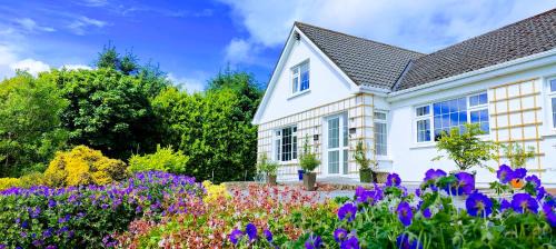 Ballydaniel House | Happy Hill Guesthouse