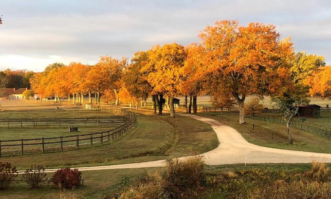 Salbris Bed & Breakfast | haras du Vignault Le Bûcher