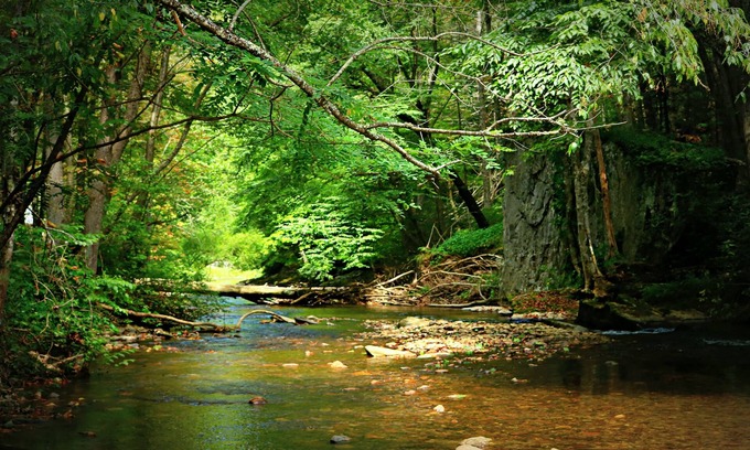 Grassy Creek Cabin | HARVEST MOON Cabin: 54 acres, family friendly, creek frontage, great fishing