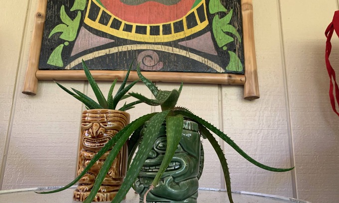 Ohia Estates House | Hau'oli Place - Happy little tiki cottage in Volcano