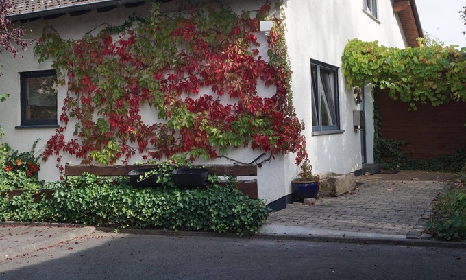 Mullenborn House | Haus Eifeldolomiten - Freistehendes Ferienhaus mit Garten bis 4 Pers