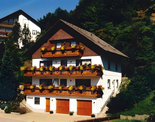 Bad Rippoldsau-Schapbach Apartment | Haus Margot Armbruster