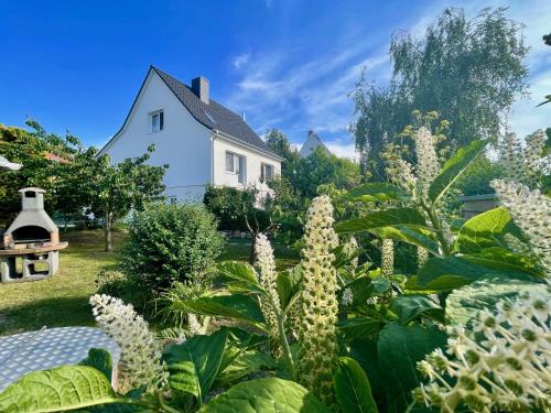 Thiessow Apartment | Haus Meerglück Lachmöwe