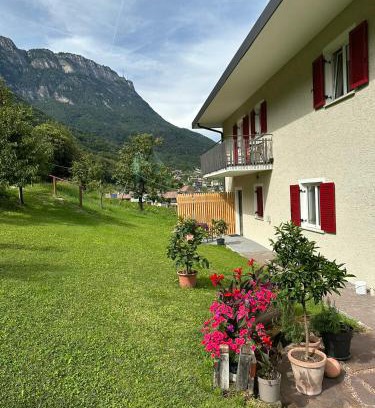 Caldaro Sulla Strada del Vino Apartment | Haus Tirol