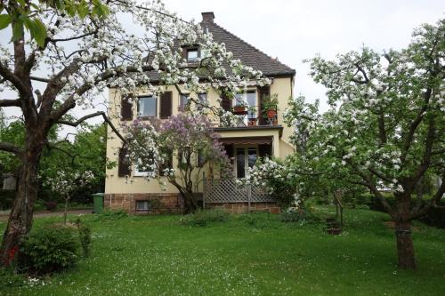 Marburg House | Haus Victoria