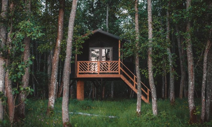 Lihula House | Hekso treehouse