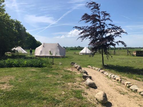 Stege Other | Helles Have Glamping