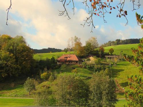 Elzach Apartment | Hernis-Höfle