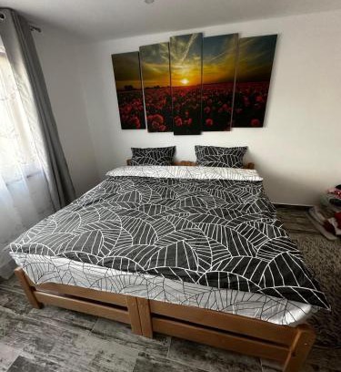 Miercurea-Ciuc Apartment | Hidden Room