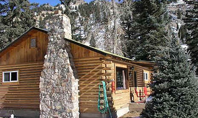 Lake City Cabin | High Mountain 3 BR log home w/fireplace