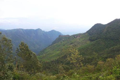 Coonoor House | HIGHLAND Hills