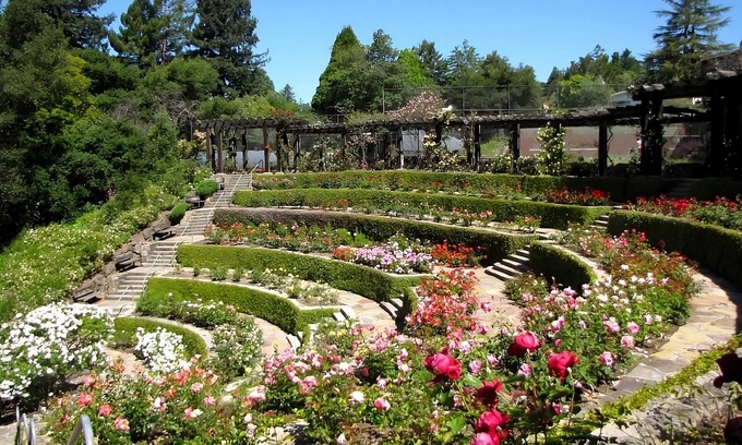 Pleasant Hill Hotel | Hiking at Ridgeview Open Space! 3 Pet-friendly Units w/Self Parking & Starbucks